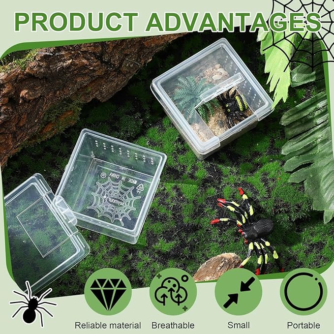 20 Pcs Insect Spider Terrariums Breeding Box Small Reptile Hatching Container Transparent Cricket Keeper Breeder Box Feeding Spider Cage with Lid for Scorpion Gecko Tortoise Centipede Tarantula-PurrikoPets