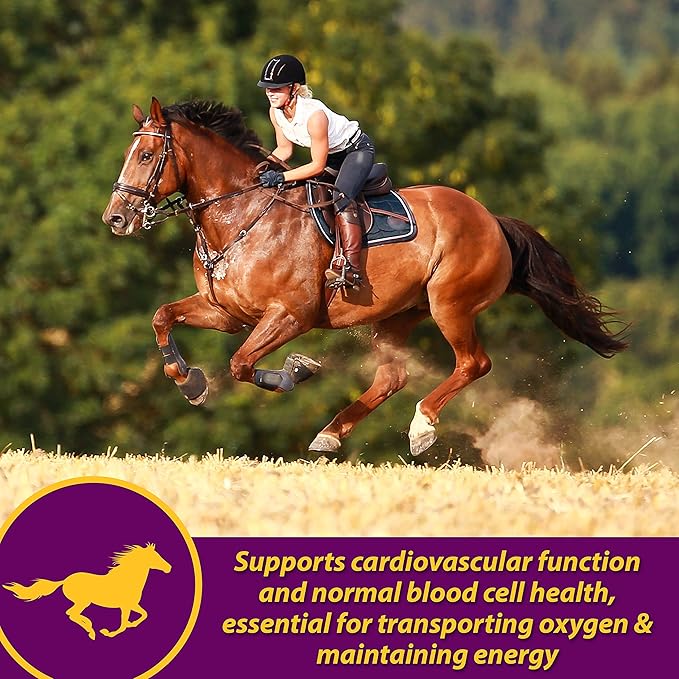 Farnam Horse Health Red Cell Pellets, Vitamin-Iron-Mineral Supplement for Horses, Helps Fill Important Nutritional Gaps in Horse's Diet, 4 lbs., 64-Day Supply-PurrikoPets