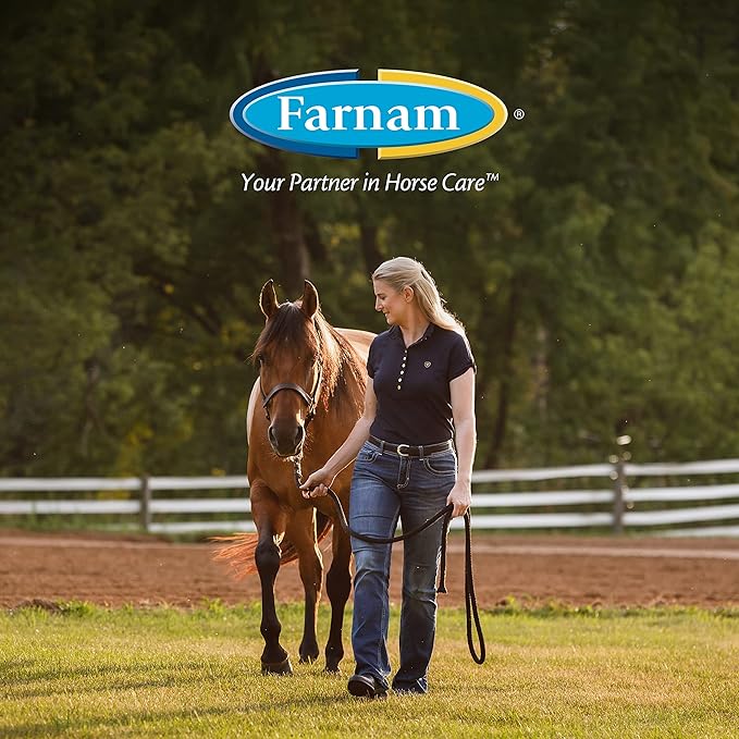 Farnam Endure Roll-On Fly Repellent for Horses, for Sensitive Areas, 3 Ounces-PurrikoPets