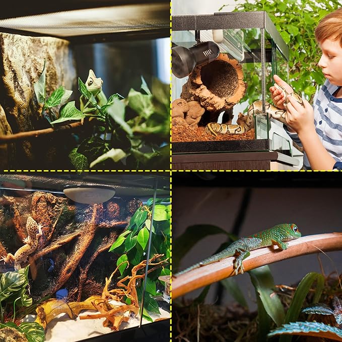 10 Gallon Professional Glass Terrarium 12"x12"x18" Durable Reptile Habitat Tank with Heat Resistant Aluminum Alloy Frame, Dual Front Swinging Doors for no Jam by Sand and Other Debris-PurrikoPets