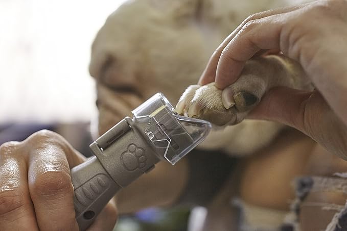 Dremel Pet Grooming Nail Guard Attachment, Ideal for Dog & Cat Nail Trimming, AT02-PGK-PurrikoPets