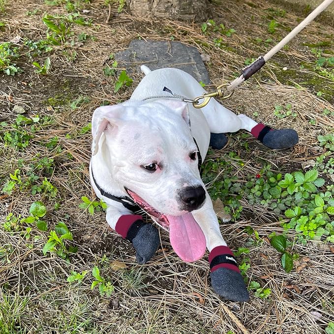 Double Dipped Thick Textured Waterproof Cotton Dog Socks | PawFlex Comfy Pawz Soft Indoor/Outdoor Pet Booties | Non-Slip Silicone Grip at Inner Wrist for No Twisting or Sliding Off| Adjustable Strap-PurrikoPets