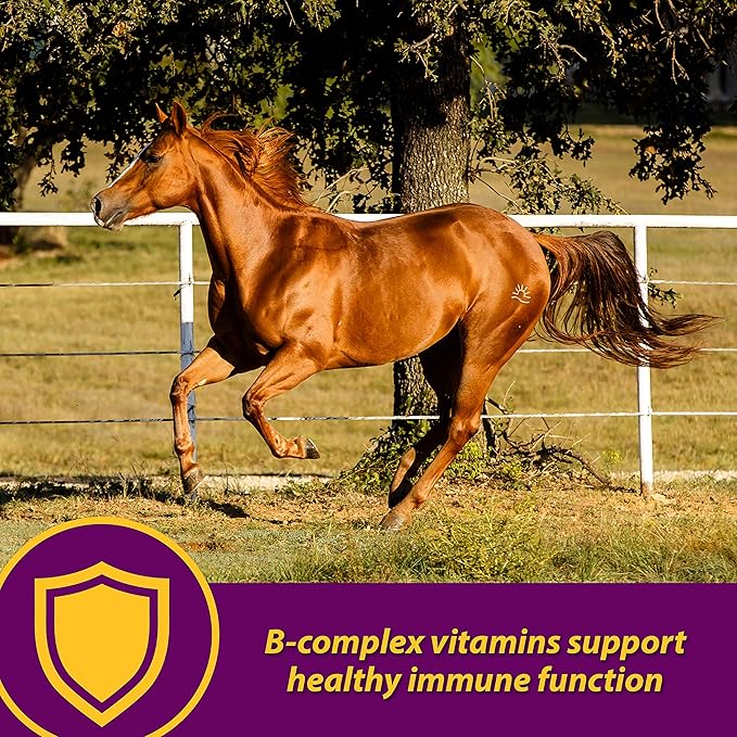 Farnam Horse Health Red Cell Pellets, Vitamin-Iron-Mineral Supplement for Horses, Helps Fill Important Nutritional Gaps in Horse's Diet, 4 lbs., 64-Day Supply-PurrikoPets
