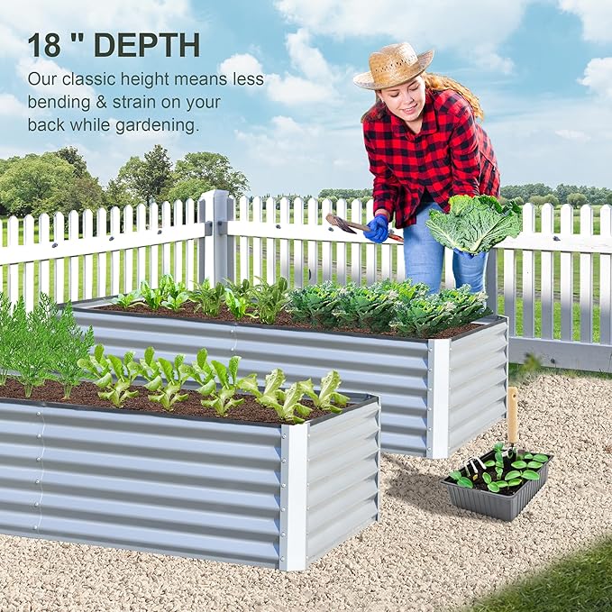 Domi Raised Garden Beds Outdoor, 6x3x1.5Ft Thickening Tall Metal Rectangular Deep Root Box Planter for Vegetables, Flowers, Herbs, and Succulents 1.5" Deep w/ 192 Gallon Capacity - Silvery-PurrikoPets