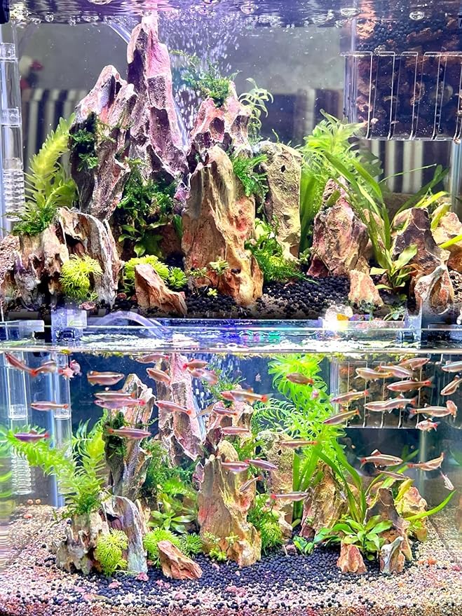 Dragon Rocks Aquarium Rock aquascaping Natural Stone Rocks Fish Tank Decor Rocks for Aquariums Landscaping Model Tank Decoration Aquarium Miniature -20Lb (2-8 inch)-PurrikoPets