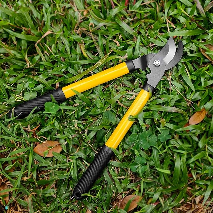 41-Piece Premium Gardening Tool Set, Stainless Steel Heavy Duty Gardening Tool Kit, with Non-Slip Rubber Grip, Storage Tote Bag, Outdoor Hand Tools, Ideal Gardening Gifts for All (Green/Grey)-PurrikoPets