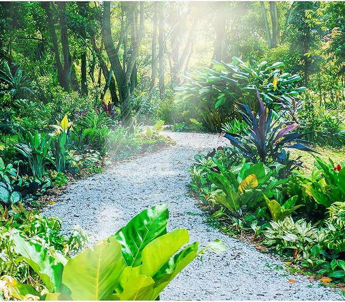 45lb White Cactus Pea Gravel Rocks,1/4 Inch Pebbles for Indoor Plants, Natural Succulent Rock and River Rocks Decorative for Aquariums, Vases, Outdoor Gardening, Top Dressing for Potted Plants-PurrikoPets