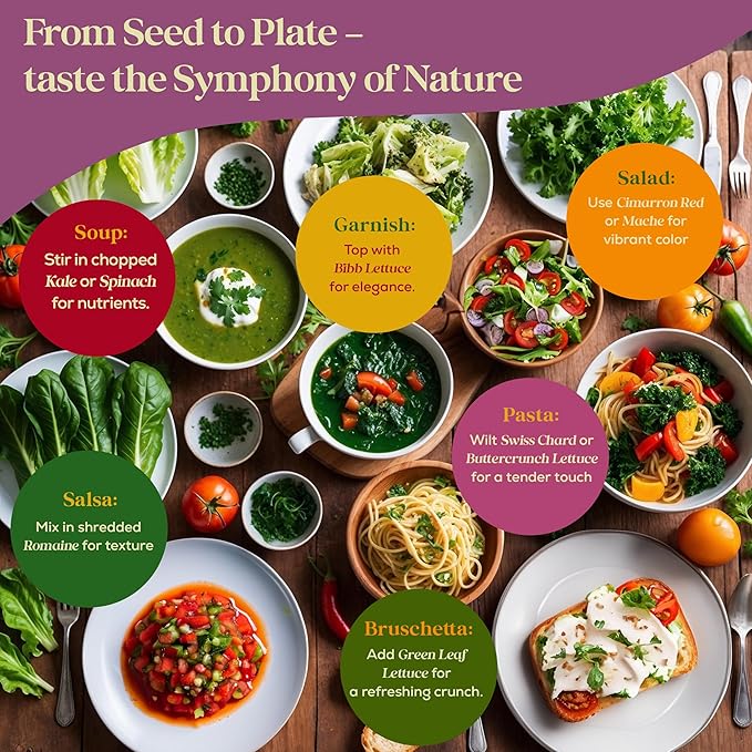 23 Lettuce & Salad Greens Seeds Variety Pack - 25,000+ Non-GMO Heirloom Greens Seeds for Planting Lettuce Indoor & Outdoor: Arugula, Mizuna, Kale, Spinach, Swiss Chard, Mache & More Lettuce Seeds-PurrikoPets