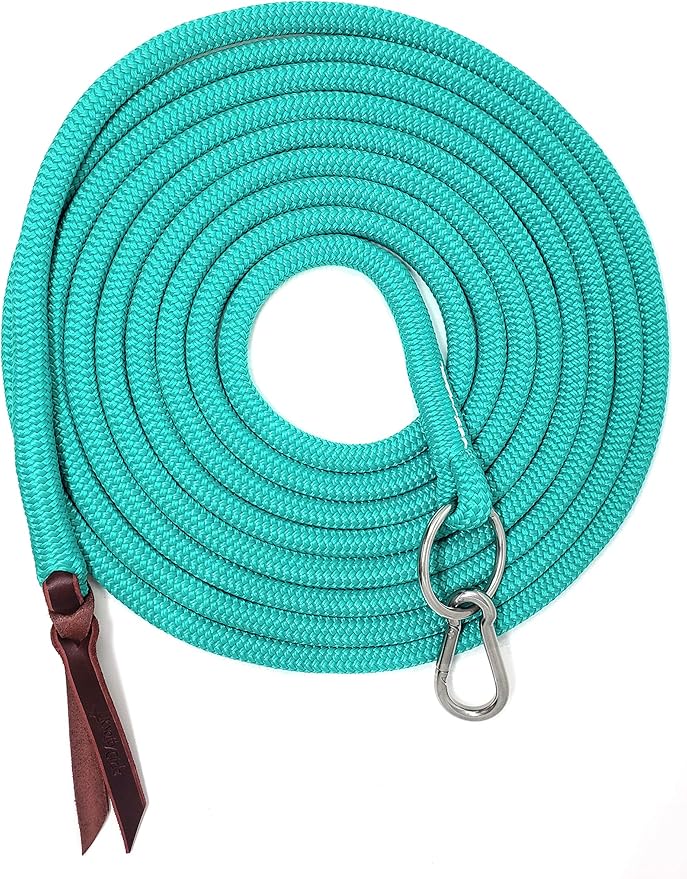 22' Long Line with SS O Ring and Carabiner (Turquoise)-PurrikoPets