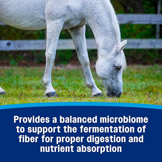 Farnam Hindgut Stabilizer Pellets, Daily Digestive & Immune Supplement for Horses Helps Maintain a Balanced Microbiome for Optimal Digestion-PurrikoPets