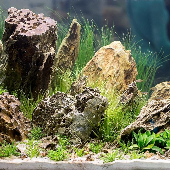 2-4 Inches Natural Dragon Stone 20 PCS Aquarium Rocks for Aquascaping, Aquarium Landscaping, Terrariums, Fish Tank Decoration, Vivariums, Paludarium, Reptile and Amphibian Enclosures-PurrikoPets