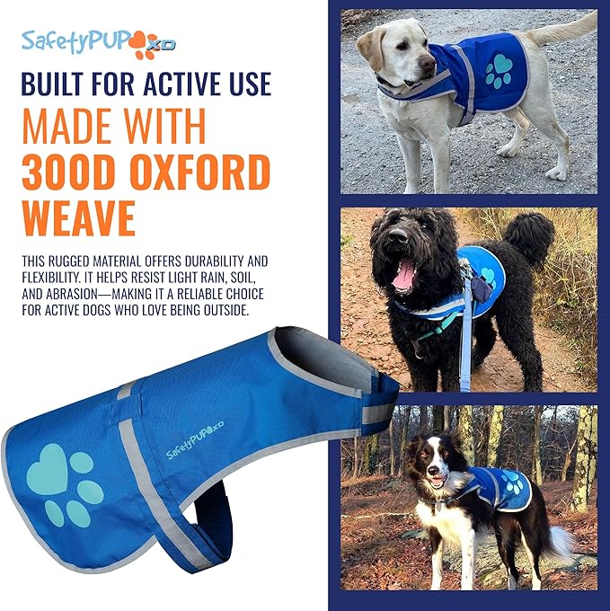 Dog Reflective Vest – Hi-Vis Fluorescent Visibility That Helps to Safeguard Your Pet On/Off Leash in Urban & Rural Areas (Blue, X-Large)-PurrikoPets