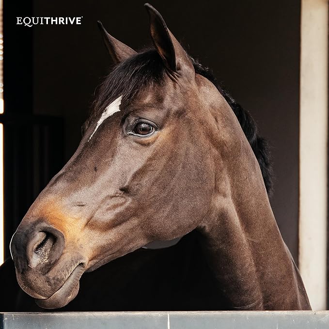 Equithrive Original Joint Supplement Powder with Resveratrol and Hyaluronic Acid for Horses, Equine Care, Molasses Flavor, 2 lbs-PurrikoPets