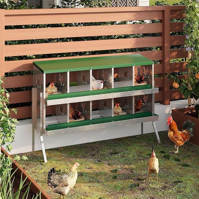 10 Hole Chicken Nesting Box with Roll Out Egg Tray, Rustproof & Ventilated Chicken Laying Boxes for Hens, Chickens, Ducks | Easy-Clean Poultry Coop Accessories, Green with Stand-PurrikoPets