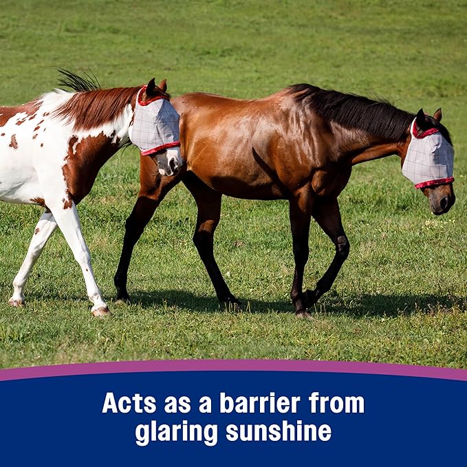 Farnam SuperMask II horse fly mask without ears, extended coverage, protects eyes from insects and debris, adjustable throat latch, Yearling size-PurrikoPets