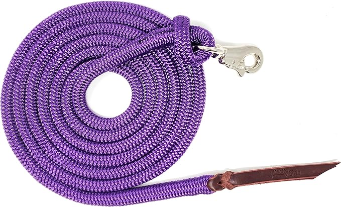 12FT Lead Rope with NP Snap-PurrikoPets