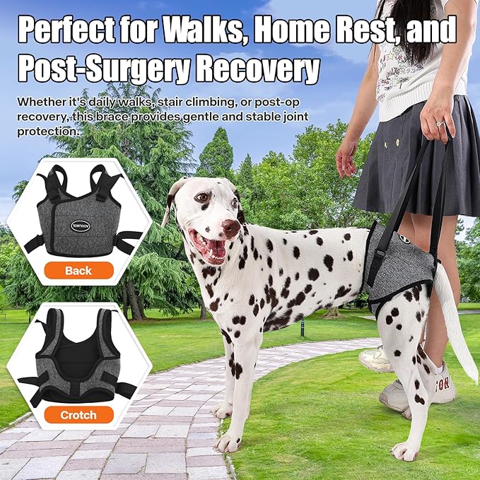 Dog Sling for Medium Large Dog Rear Leg, Lift Harness Provide Support with Muscle Atrophy and Joint Problems for Elderly Injured Arthritic Pet, Dog Weak Rear Legs Provides Rehabilitation Aid-PurrikoPets