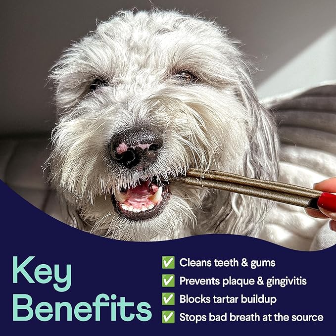 Finn Plaque Patrol Dental Chews | Triple-Action Defense Against Plaque, Tartar, and Bad Breath | for Medium/Large Dogs, 25+ lbs-PurrikoPets