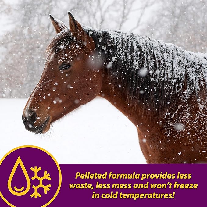 Farnam Horse Health Red Cell Pellets, Vitamin-Iron-Mineral Supplement for Horses, Helps Fill Important Nutritional Gaps in Horse's Diet, 4 lbs., 64-Day Supply-PurrikoPets