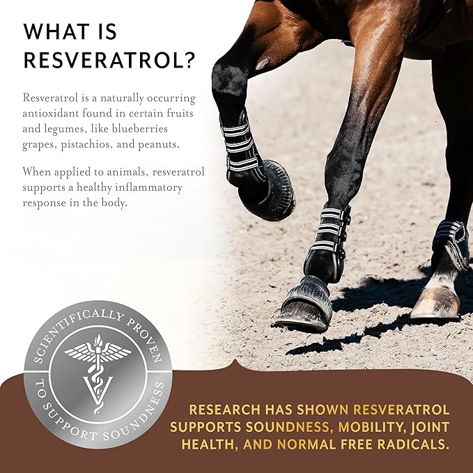 Equithrive Original Joint Supplement Powder with Resveratrol and Hyaluronic Acid for Horses, Equine Care, Molasses Flavor, 8 lbs-PurrikoPets