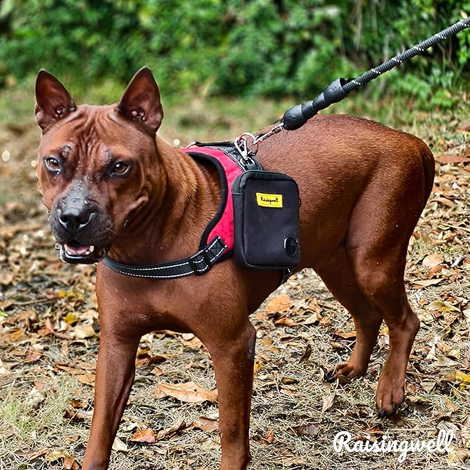 Dog Treat Pouch for Pet Walking and Training with Clicker Poop Bags Small Fanny Zipper Pack Holder for Puppy Snack Dispenser Kit for Leash and Outdoor Use (Black)-PurrikoPets