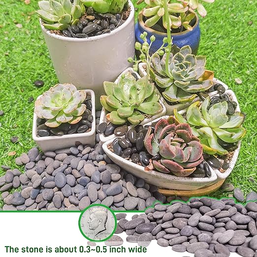 2.4lb River Rocks Pebbles for Plants & Succulents, Decorative Outdoor Landscaping & Aquarium Garden Rocks-PurrikoPets