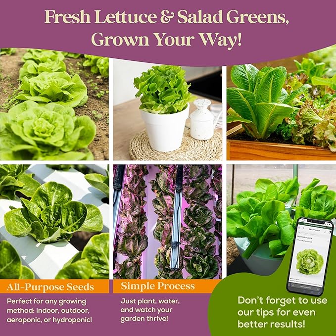 23 Lettuce & Salad Greens Seeds Variety Pack - 25,000+ Non-GMO Heirloom Greens Seeds for Planting Lettuce Indoor & Outdoor: Arugula, Mizuna, Kale, Spinach, Swiss Chard, Mache & More Lettuce Seeds-PurrikoPets