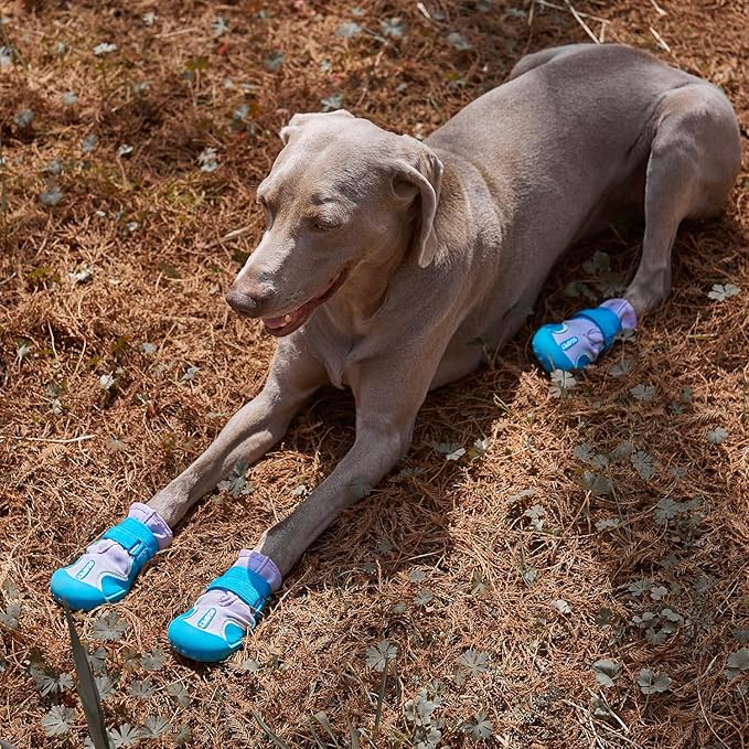Dog Shoes, Waterproof Dog Boots & Paw Protectors with Anti-Slip Sole, 4pcs/Set Pet Dog Booties, Reflective Dog Shoes for Small Medium Large, Winter Snowy Summer Hot Pavement (Blue, 5# (M))-PurrikoPets