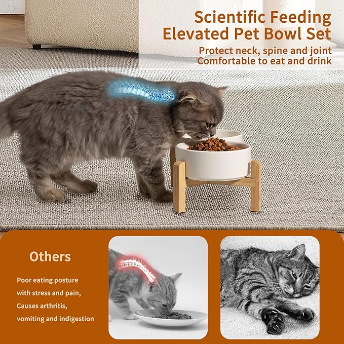 Elevated Ceramic Dog Bowl Set - Raised Feeding Bowls with Non-Slip Bamboo Stand - Small Pet Dishes for Food and Water - Ideal for Cats and Puppies - 16.23 OZ - 2 Cups - 480 ML-PurrikoPets