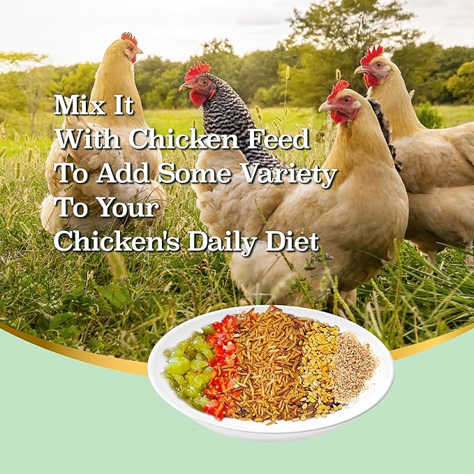 2LB Dried Black Soldier Fly Larvae, More Calcium Than Dried Mealworms, High Protein Chicken Feed, Poultry Treat, Chicken Scratch-PurrikoPets