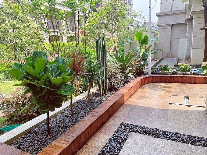 5 lbs Natural Polished Black River Rocks, 1-2 inch Decorative Pebbles for Indoor Plants. Black Stones for Planters, Vase, Garden Landscape Rocks and Outdoor Decorative Stones-PurrikoPets