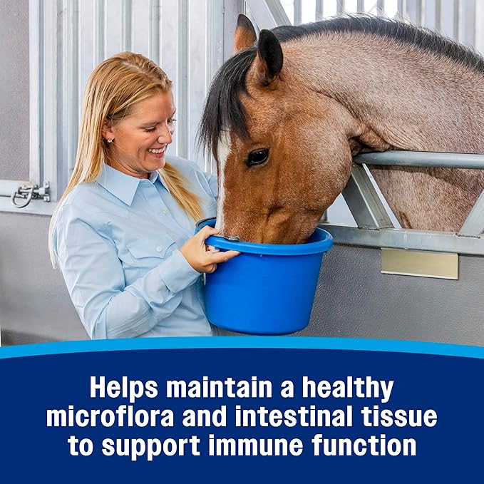 Farnam Hindgut Stabilizer Pellets, Daily Digestive & Immune Supplement for Horses Helps Maintain a Balanced Microbiome for Optimal Digestion-PurrikoPets