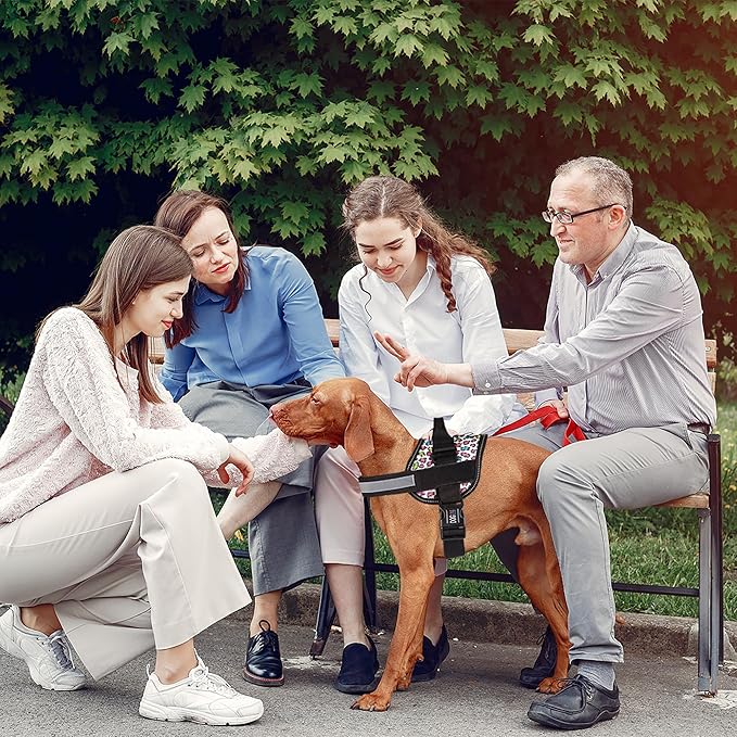 Dogline Dog Harness, Reflective No-Pull Adjustable Vest with Handle for Walking, Training, Breathable, No - Choke Harness for Small, Medium or Large Dogs Room for Patches Leopard Rainbow XS 15"-18"-PurrikoPets