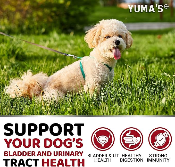 Dog UTI Treatment - 170 Treats - Cranberry Supplement for Dogs - Bladder Control - Urinary Tract Infection Treatment - UTI Medicine Multivitamin - Vitamins and Supplements - Made in USA-PurrikoPets