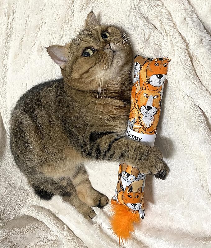 2 Pack Natural Interactive Catnip Cat Kicker with Feathers, Bite Resistant Chew Toy, Crinkle Kicker, Accessories for Indoor Cat-PurrikoPets