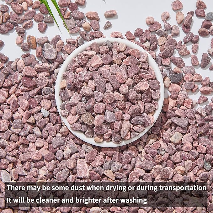 2lb Succulent and Cactus Gravel Pebbles 1/5-3/8 Inch Natural Decorative Polished Stones River Rocks for Plants, Vases, Aquariums, Terrarium and Outdoor Gardening, Rouge Red Color-PurrikoPets