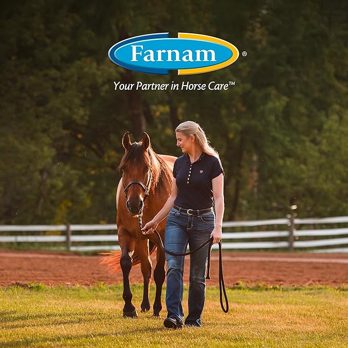 Farnam SuperMask II Fly Mask Without Ears for Foals, Full Face Coverage and Eye Protection from Insect Pests, Structured Classic Styling Mesh with Plush Trim, Foal Size-PurrikoPets