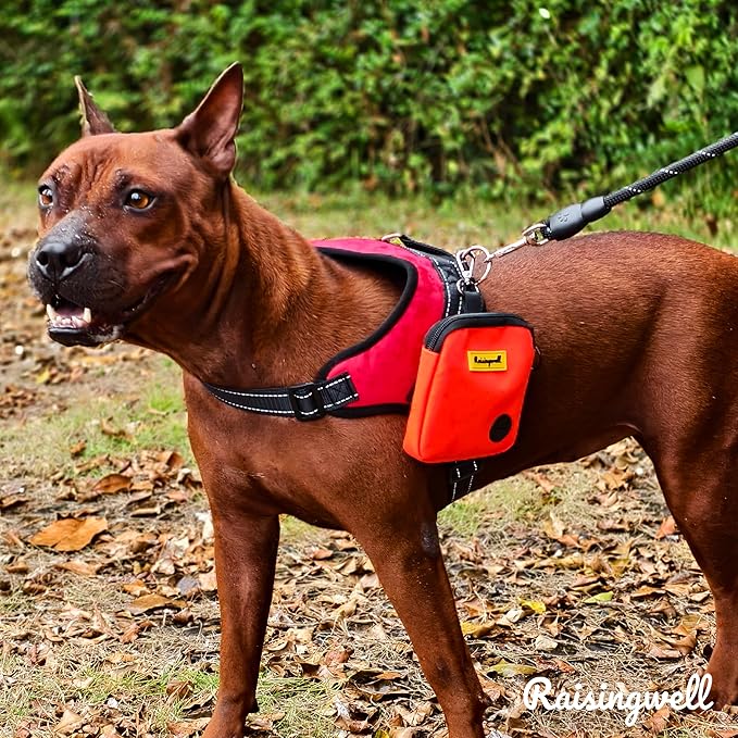 Dog Treat Pouch for Pet Walking and Training with Clicker Poop Bags Small Fanny Zipper Pack Holder for Puppy Snack Dispenser Kit for Leash and Outdoor Use (Orange)-PurrikoPets