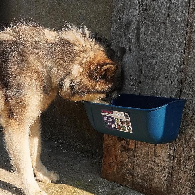 Goovilla Large Feed Trough, Hanging or Screw-in Fence Feeder with Clips, 2 Pack 9 Quart Goat Feeder Supplies, Dog Horse Hog Pig Livestock Poultry Plastic Feeder Trough Bucket for Large Animal, Blue-PurrikoPets