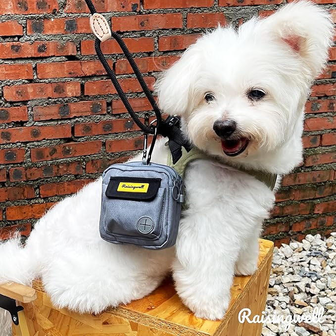 Dog Treat Pouch for Pet Walking and Training with Clicker Poop Bags and Three Bags Design Small Fanny Zipper Pack Holder for Puppy Snack Dispenser Kit for Leash and Outdoor Use (Gray)-PurrikoPets