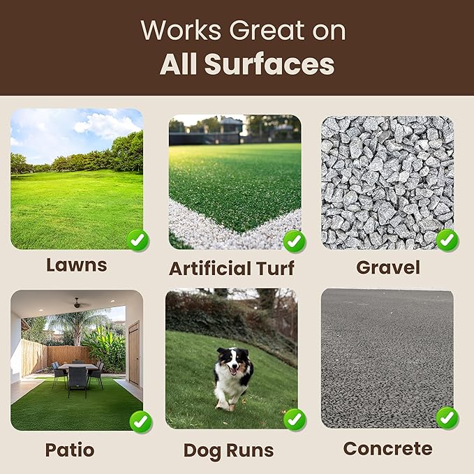 Doodust Dog Poop Clean Up Powder, Poop Hardener & Yard Cleaner, Biodegradable, Pet-Safe, Stops Odor and Makes Pickup Easy-PurrikoPets