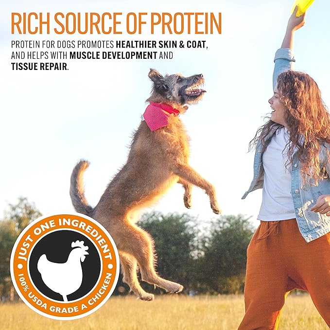 Emmy's Best EBPP Chicken Jerky Dog Treats Made in USA - 100% Natural Jerky Treats Made with Real Chicken - Grilled Chicken Strips for Medium Dogs, Large and Small Dogs-PurrikoPets