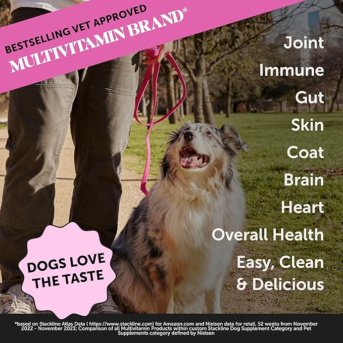 Dog Multivitamin Supplement with Salmon Oil for Dogs - Allergy Itch Relief, Digestion, Skin & Coat Health, Liquid Supplement - Dog Food Topper Bone Broth with Prebiotics (12 oz)-PurrikoPets