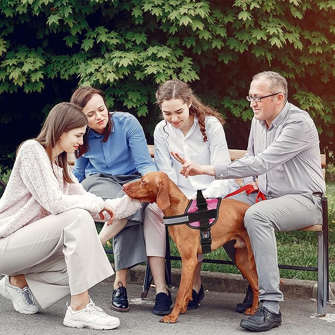 Dogline Dog Harness, Reflective No-Pull Adjustable Vest with Handle for Walking, Training, Breathable, No - Choke Harness for Small, Medium or Large Dogs Room for Patches Girth 22"-28" in Pink Camo-PurrikoPets