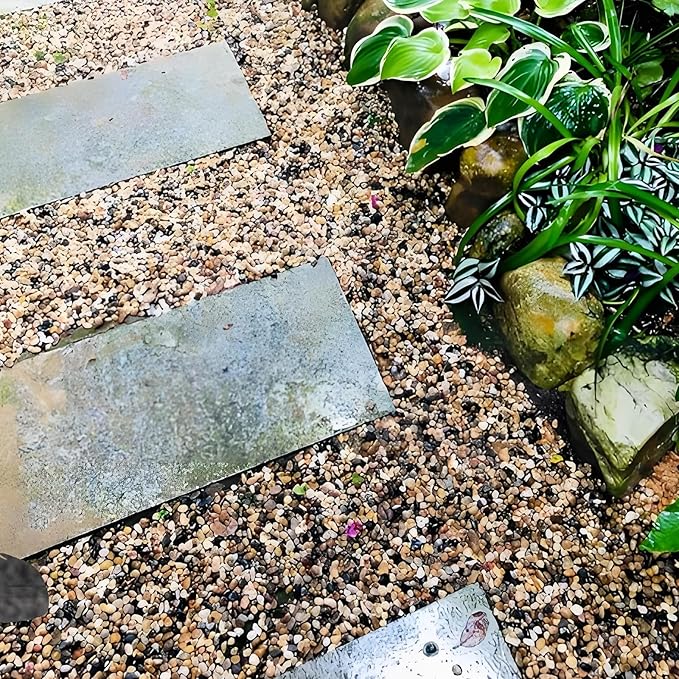 2lbs Fish Tank Rocks, 1/4 Inch Pea Gravel for Fish Tank, Decorative River Rocks for Aquarium Succulent Cactus Plant Vase Fillers Soil Cover and Outdoor Landscaping Stones-PurrikoPets