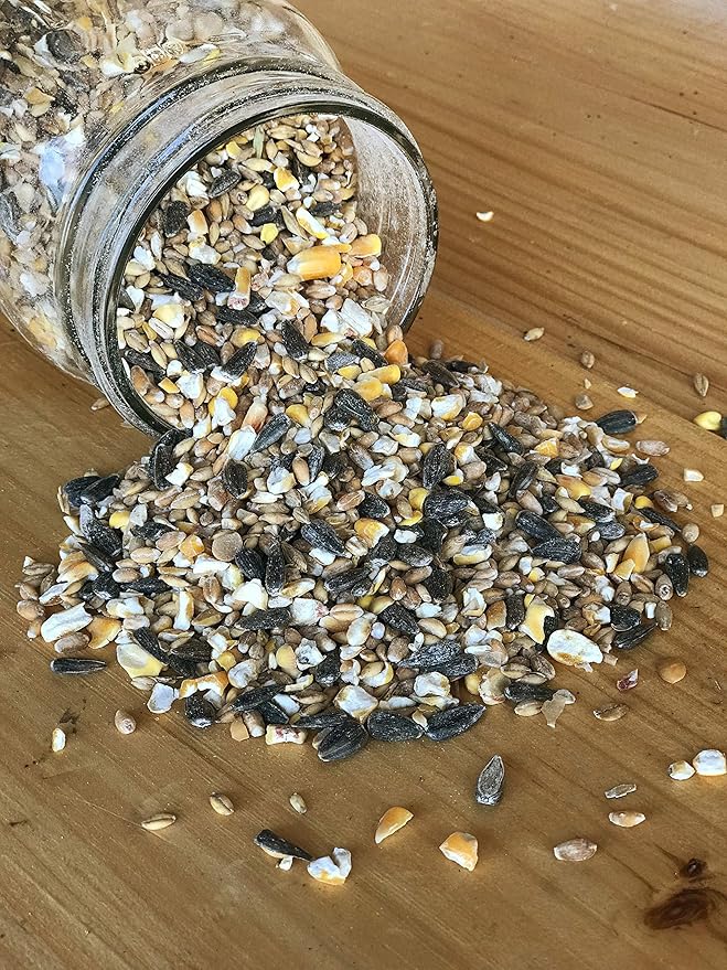 Ernst Grain & Livestock's Bird and Wildlife Feed – Perfect for Birds, Ducks, Squirrels, Turkeys, Rabbits, Geese, and Deer – Non-GMO Wild Animal & Bird Feed for Outside Feeders (46 Pounds)-PurrikoPets