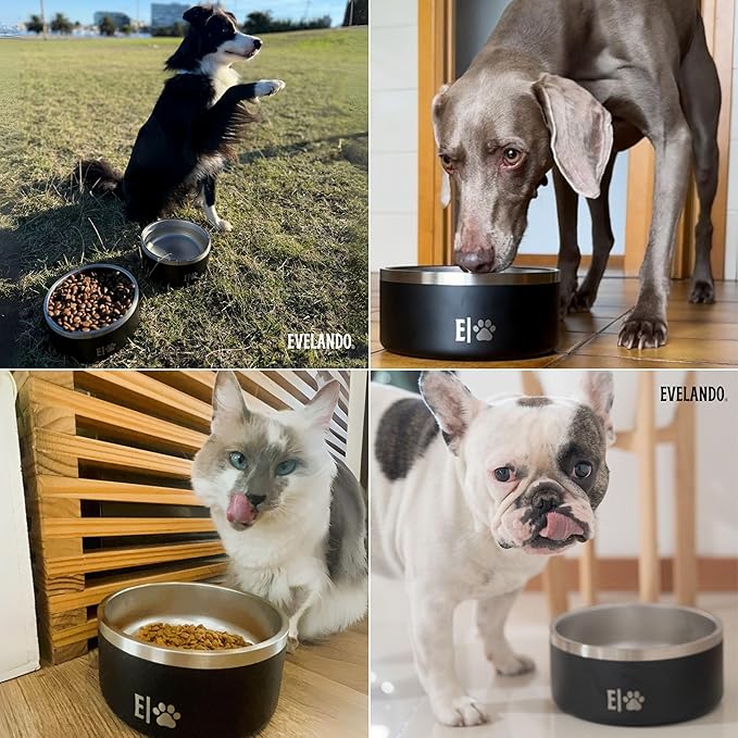 EVELANDO® Premium Dog Food Bowl 32 oz Stainless Steel 4 Cups Small Medium Dog Bowls Non Slip & BPA-Free S M L Pet Water Bowl Platos para Perros Indoor Outdoor Pet Dish Feeder Water and Food Dish-PurrikoPets