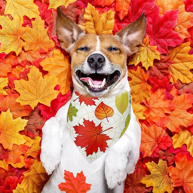 Abbylike 50 Pcs Fall Dog Bandana Bulk Maple Leaves Bandana for Dogs Triangle Kerchief Bibs Scarf for Small Medium Large Pet Autumn Thanksgiving Costume Accessories, 25 Styles (25.6 x 17.7 x 17.7 Inch)-PurrikoPets