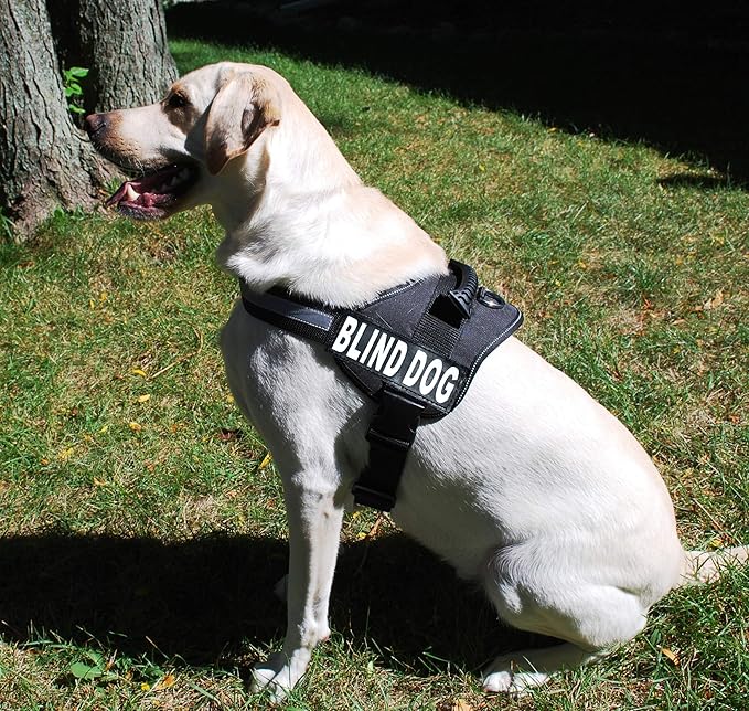 Doggie Stylz Blind Dog Vest Harness with Removable Patches and Reflective Trim. Comes with 2 Blind Dog Reflective Hook and Loop Patches. Measure Dogs Girth Before Purchase (Girth 30”- 42" Black)-PurrikoPets