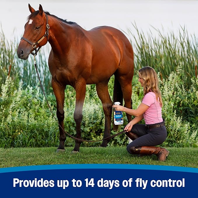 Farnam Endure Sweat-Resistant Fly Spray for Horses, Lasts Up to 14 Days, Protects Against Flies, Gnats, Mosquitoes, Ticks & Lice, 128 oz.-PurrikoPets